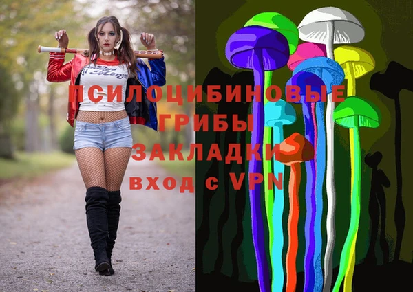 Альфа ПВП Арсеньев