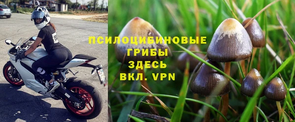 тгк Армянск