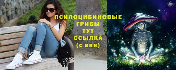 тгк Армянск