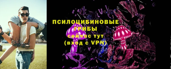Альфа ПВП Арсеньев