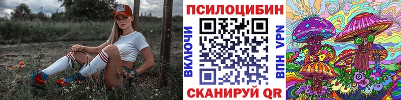 МЕГА ссылка  Россошь  Псилоцибиновые грибы Psilocybe 