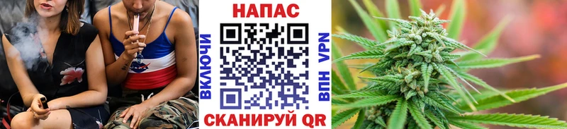 МАРИХУАНА ГИДРОПОН  omg маркетплейс  Россошь  наркошоп 